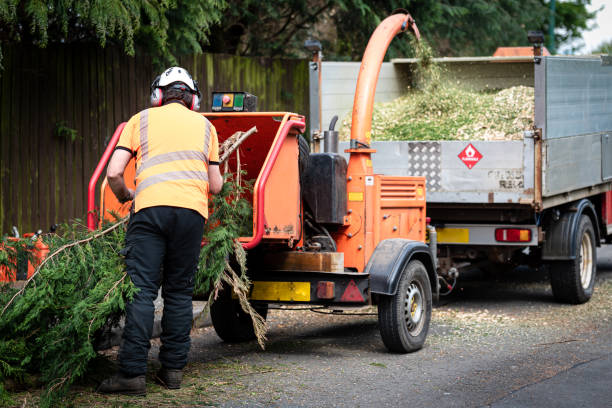 Best Aeration Services  in Lincoln, MO